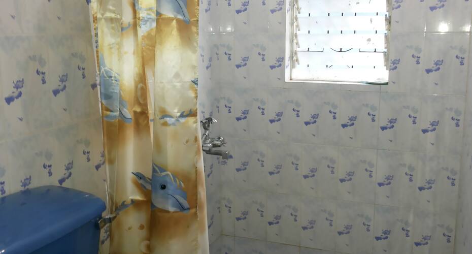 Small Gonsalvis Guest House, Goa 4